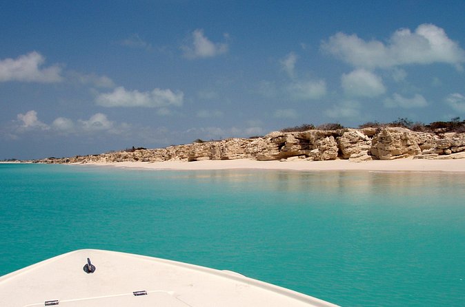 Snorkel Eco Tour - Stop three: the advertised extra reef location