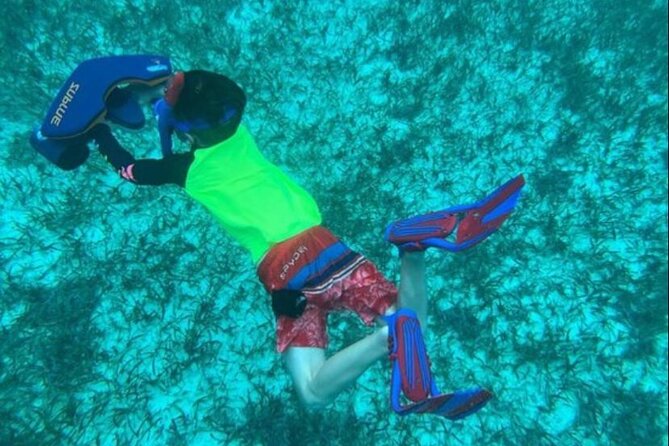 Snorkeling with Sea Scooters and Sea Adventure - Offshore - Is $189 a fair price?