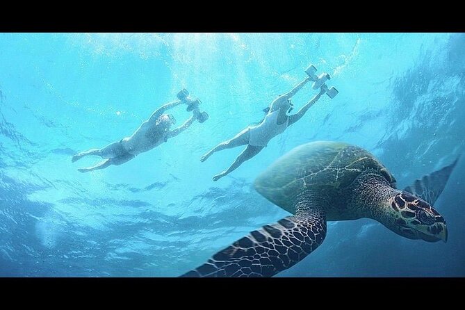 Snorkeling with Sea Scooters and Sea Adventure - Offshore - What to bring and what not to expect