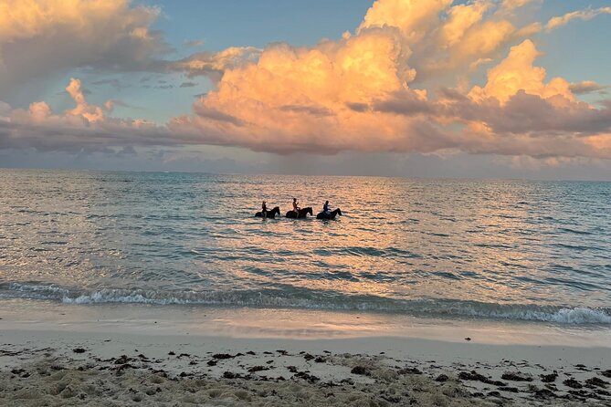 Sunset Horse Ride Experience - Photos, flowers, and other personal touches