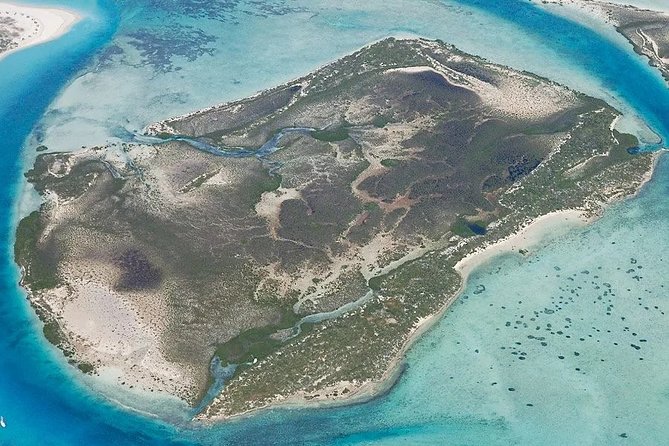 Turtle Eco Tour on Stand-Up Paddleboards or Kayaks into the National Marine Park - Turtle sightings, sharks, rays, and fish