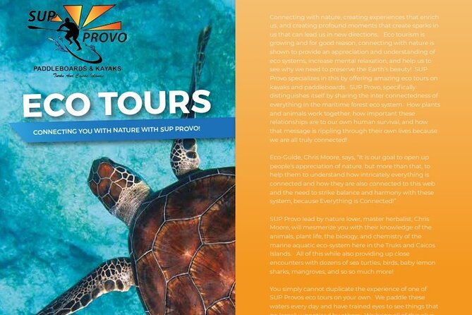 Turtle Eco Tour on Stand-Up Paddleboards or Kayaks into the National Marine Park - Starting at Caribbean Cruisin Marina