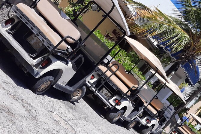 Watkins UTV American Golf Cart Rentals - Who will enjoy this rental most?